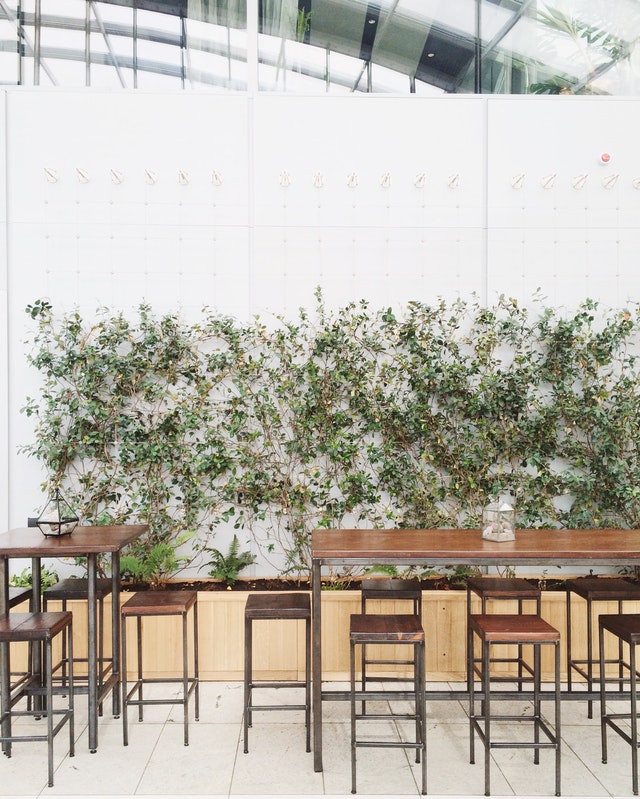 gradini interioare 2