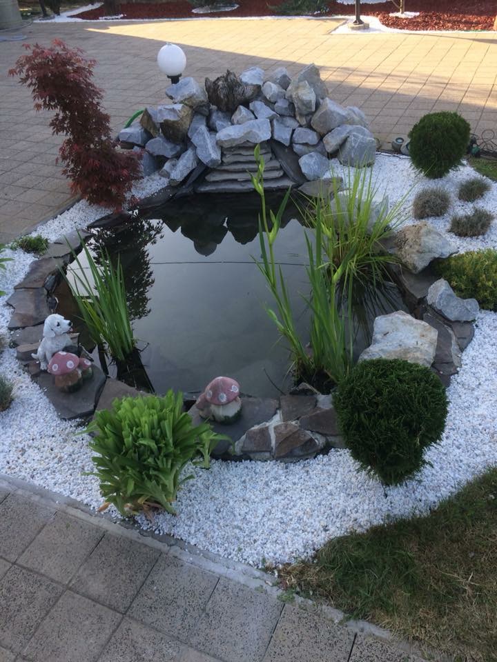 lacuri iazuri si cascade 1