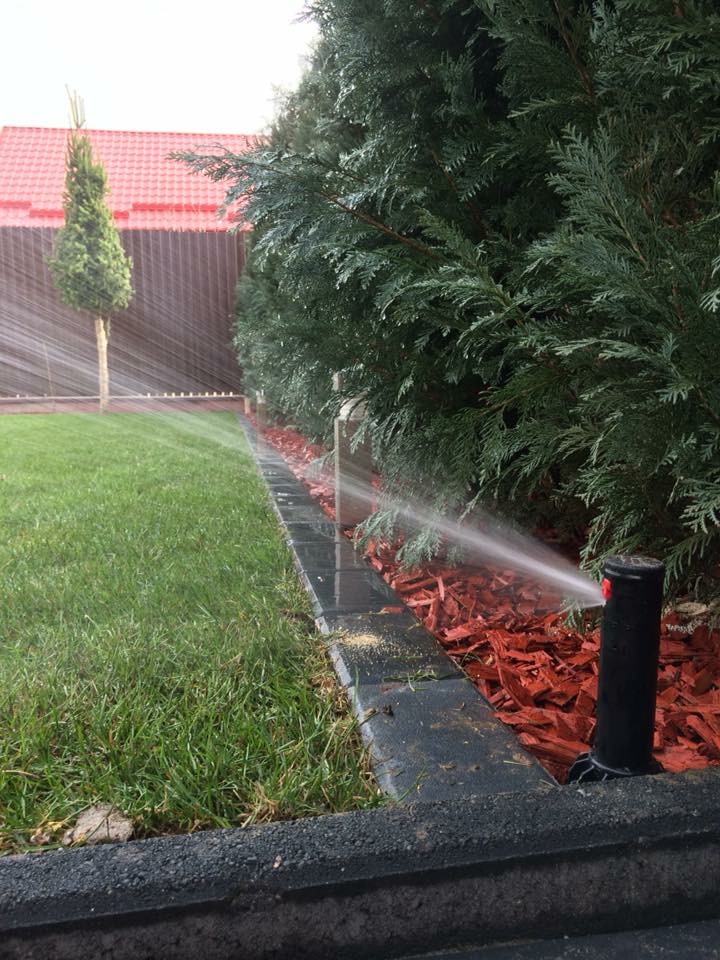 sisteme de irigatii 1